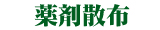 sanpu-txt.gif