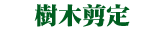 sentei-txt.gif
